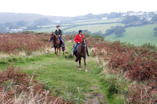 Wales pony trekking